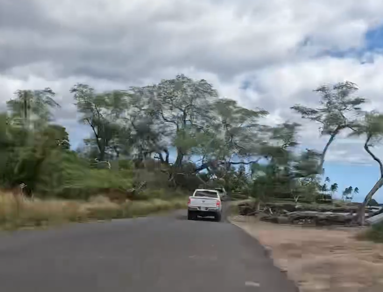 A photo of a road in Maui