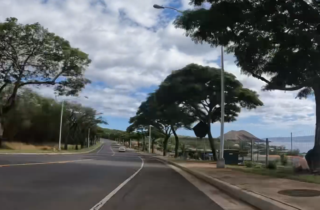 Photo of Maui roadside scenery