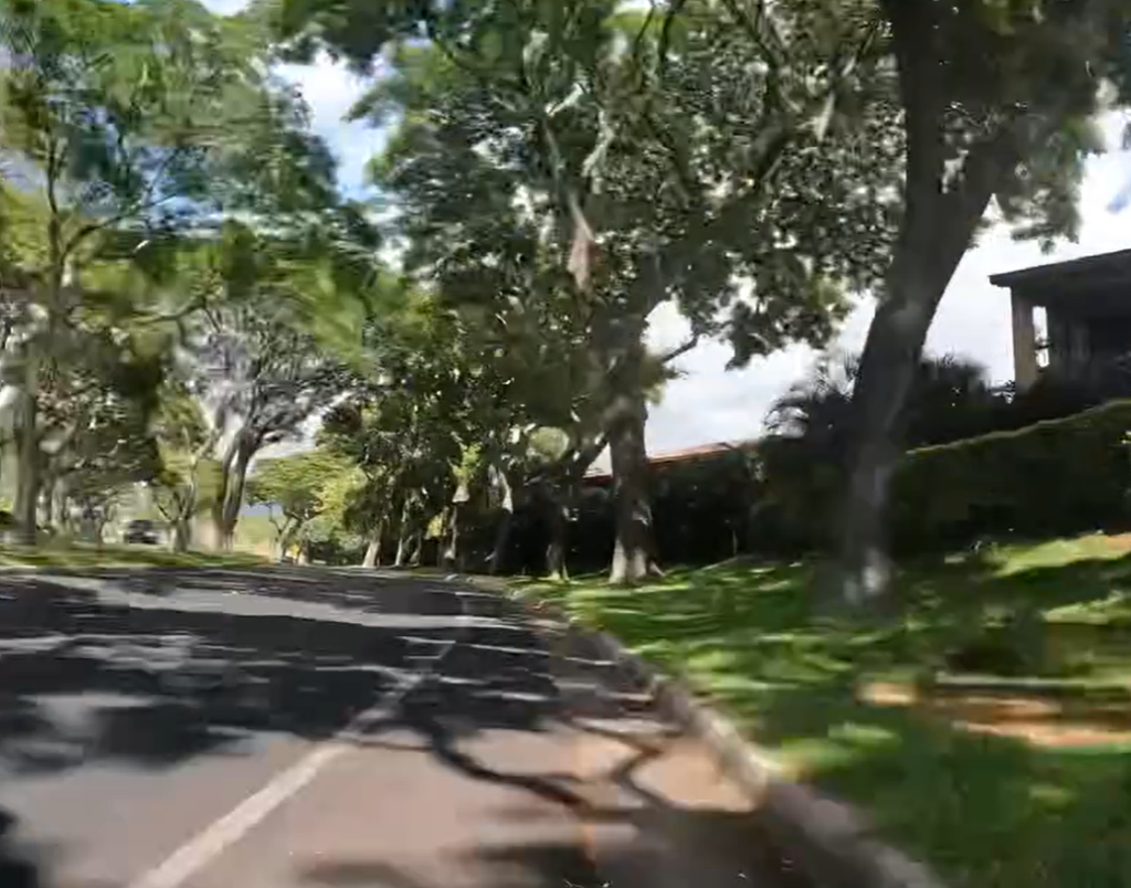 Photo of the scenic trees along the road from Kihei to Ahih Kinau